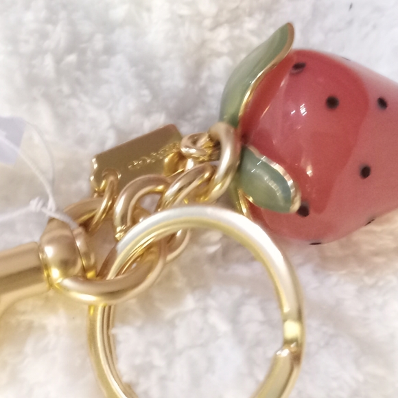 CoachX Strawberry Keychain/Bagtag - Picture 7 of 8
